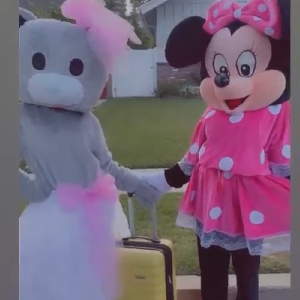 Minnie mouse and Teddy bear mascots